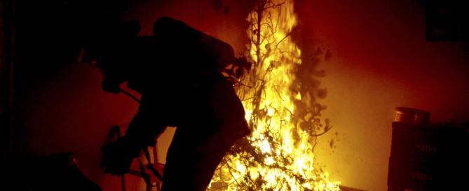 Fireman extinguishing a burning tree.